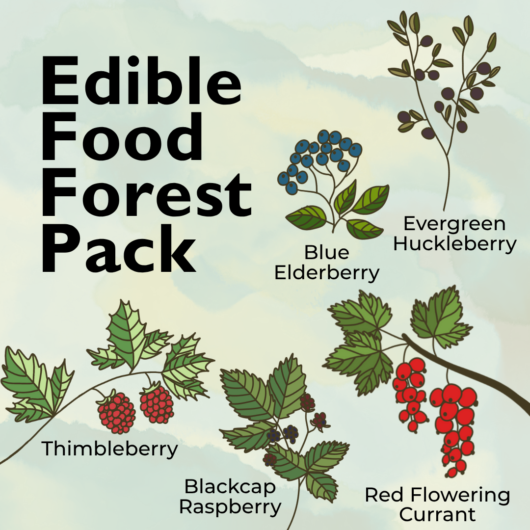 Edible Food Forest Plant Pack