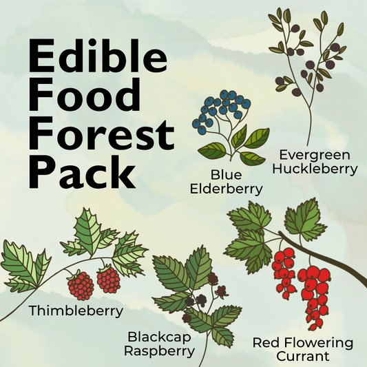 Edible Food Forest Plant Pack