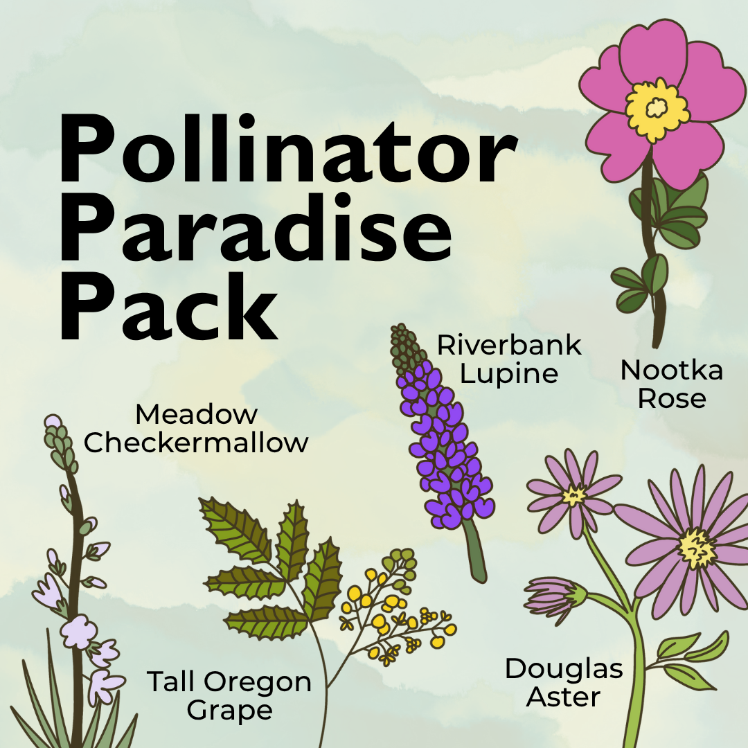 Pollinator Paradise Plant Pack